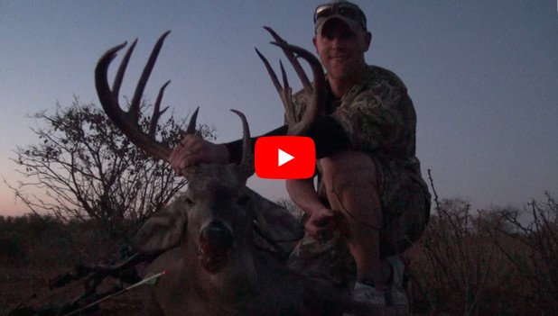 184 inch
                          monster texas buck