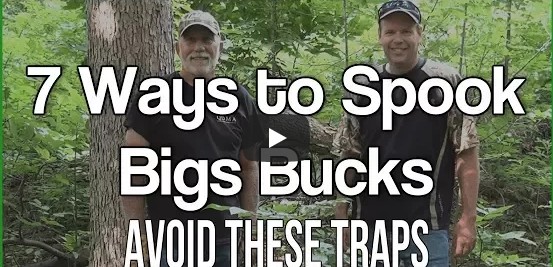 7
                          reasons you dont see bucks