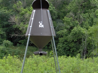 1200 lb feeder
