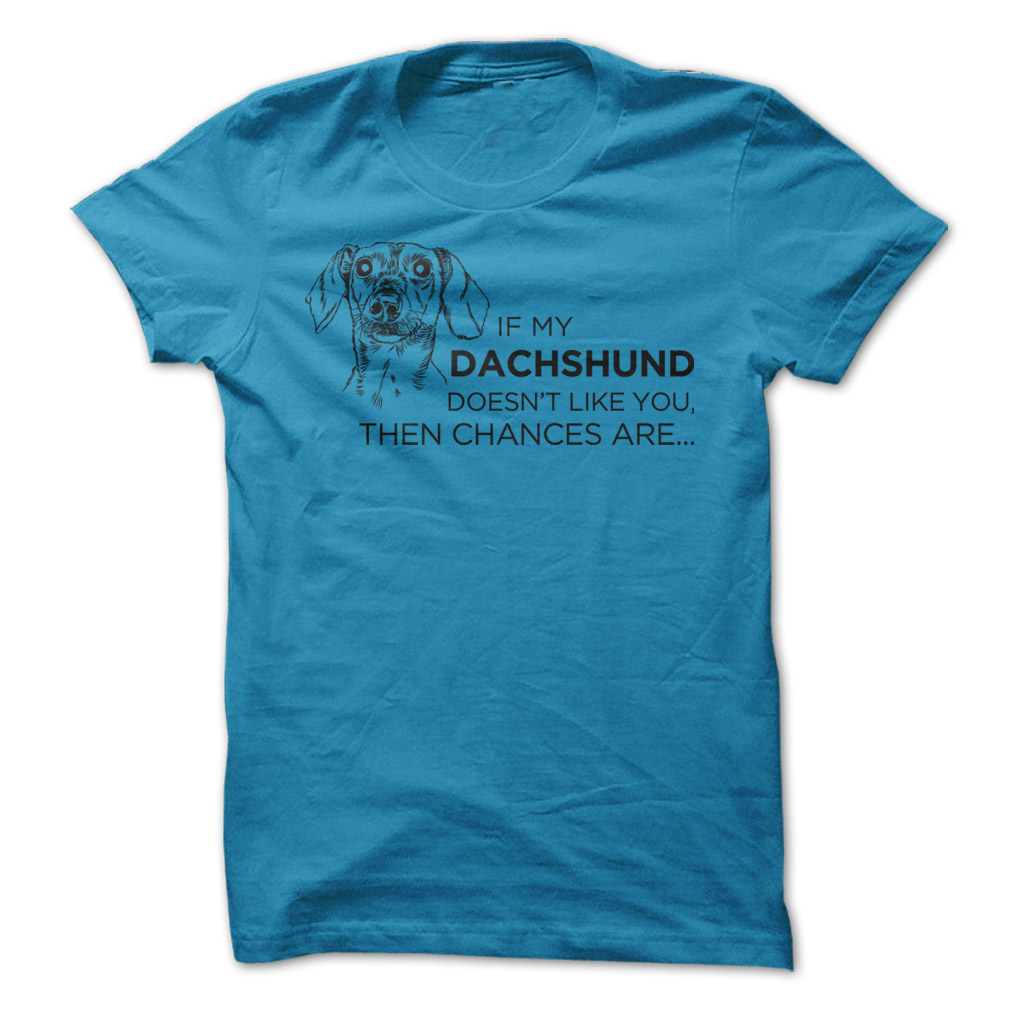 Dachshund
                  Doesnt Like You T Shirt