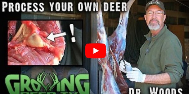 how to easily
                process your own deer meat