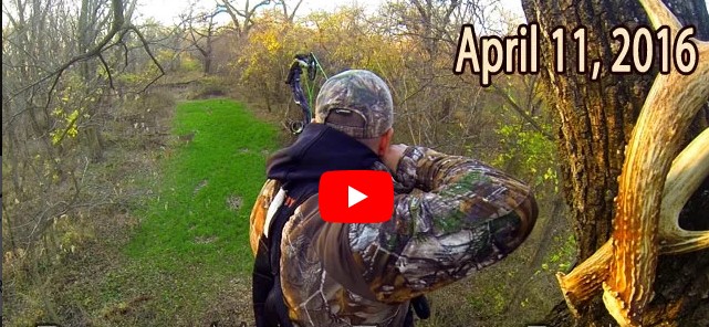 poor mans food
                          plots