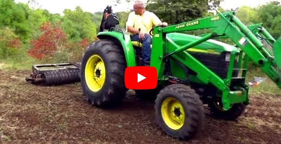 small food plots for whitetail deer
                          hunting