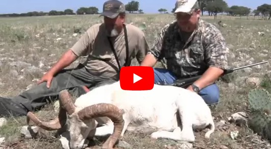 texas hill
                country exotic big game hunting with keith warren