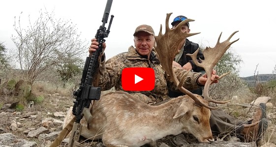 west texas
                fallow deer, whitetail and aoudad hunt